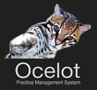 Ocelot - Project Management System